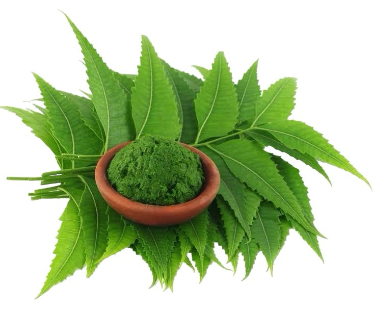 HERBAL REMEDIES & DETOX