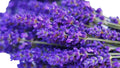 photoroom_20240105_193927