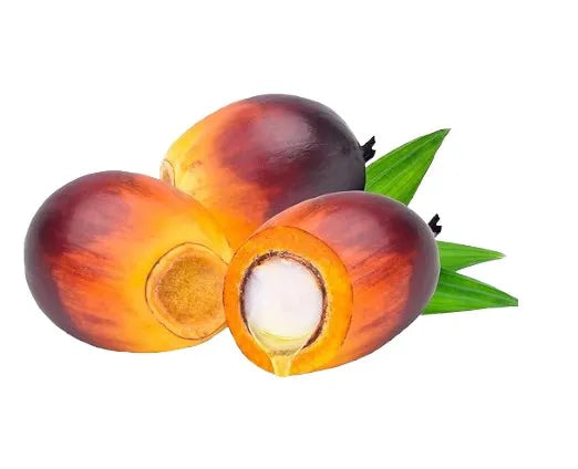 61F0uS-ZhcL-Photoroom-Photoroom